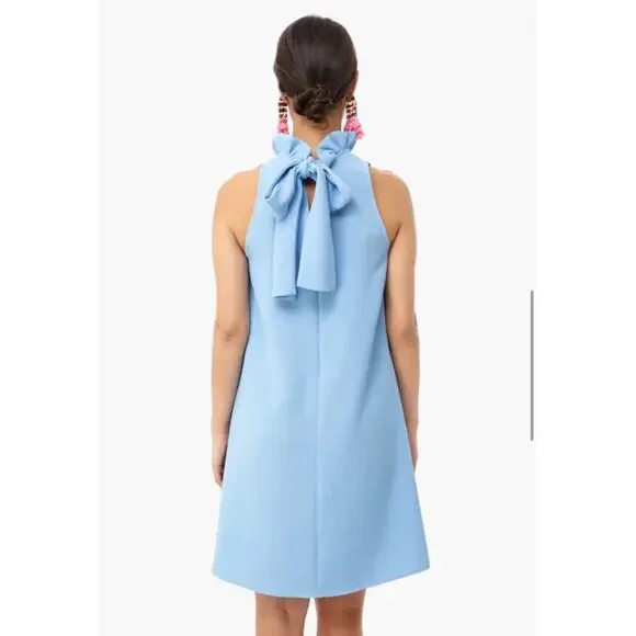 Tuckernuck Pomander Place Blythe Dress Light Blue size Small sleeveless - Picture 2 of 9